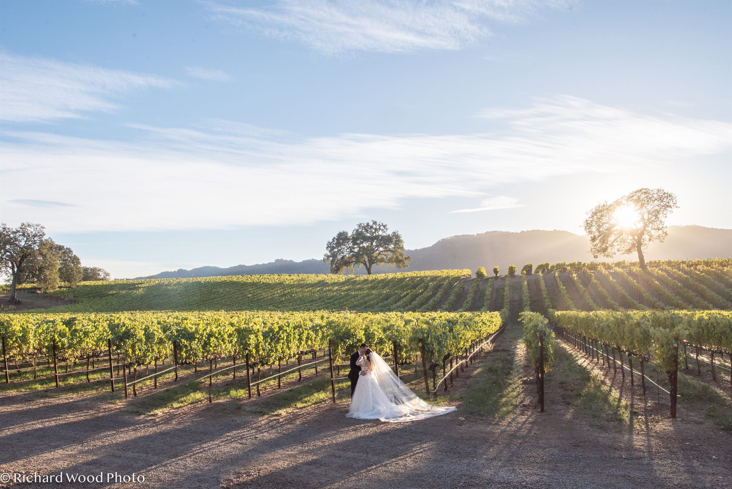 A bride and groom in a sunlit Sonoma vineyard